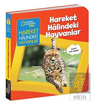 Hareket Halindeki Hayvanlar - İlk Kitaplarım Seris