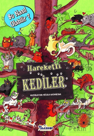 Hareketli Kediler – Bu Nasıl Olabilir?