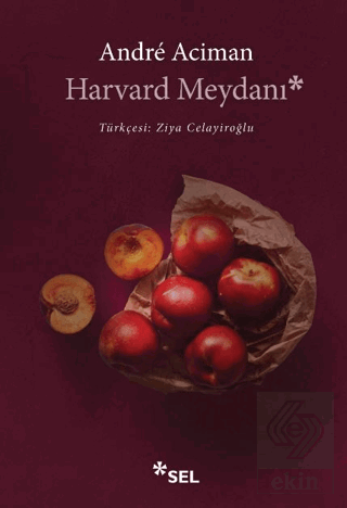 Harvard Meydanı