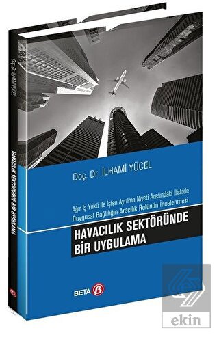 Havacılık Sektöründe Bir Uygulama