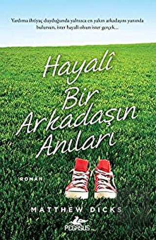 Hayali Bir Arkadaşın Anıları