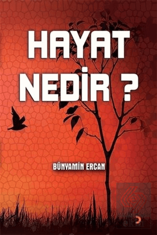 Hayat Nedir?