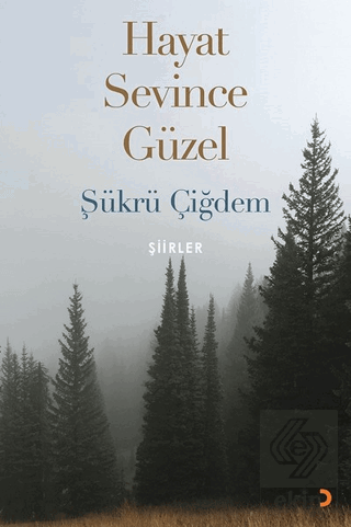 Hayat Sevince Güzel