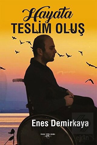 Hayata Teslim Oluş