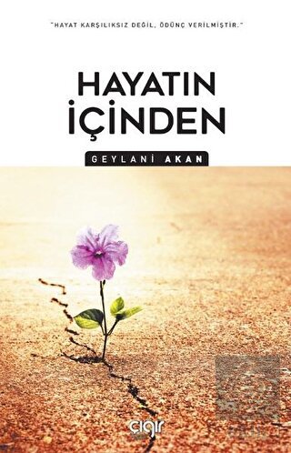 Hayatın İçinden