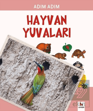 Hayvan Yuvaları