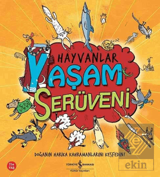 Hayvanlar - Yaşam Serüveni