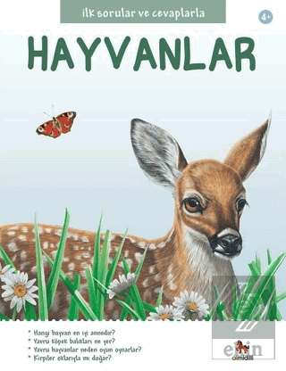 Hayvanlar