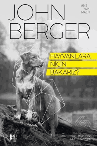 Hayvanlara Niçin Bakarız?