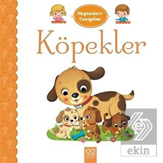 Hayvanları Tanıyalım - Köpekler