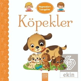 Hayvanları Tanıyalım - Köpekler