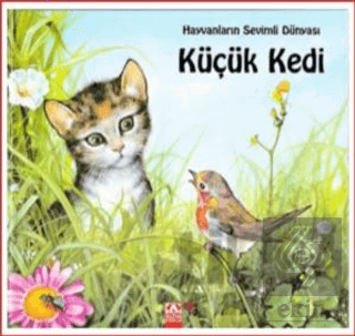 Hayvanların Sevimli Dünyası - Küçük Kedi