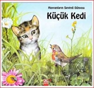 Hayvanların Sevimli Dünyası - Küçük Kedi