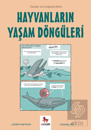 Hayvanların Yaşam Döngüleri