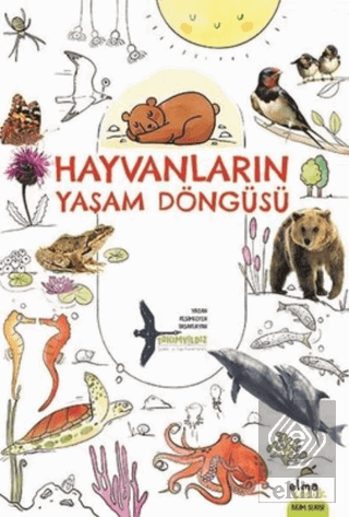 Hayvanların Yaşam Döngüsü