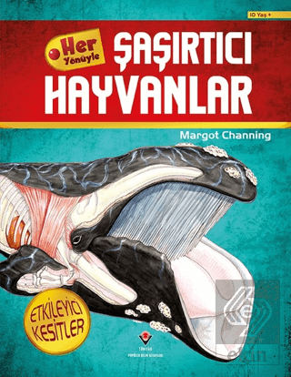 Her Yönüyle Şaşırtıcı Hayvanlar