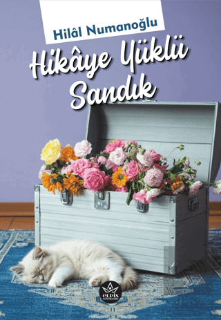 Hikaye Yüklü Sandık