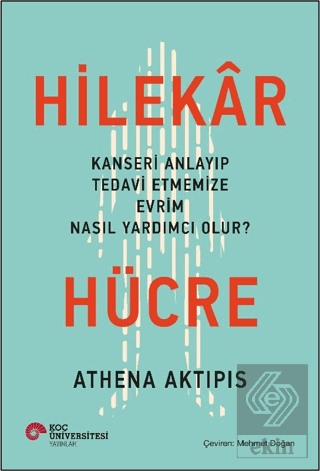 Hilekar Hücre