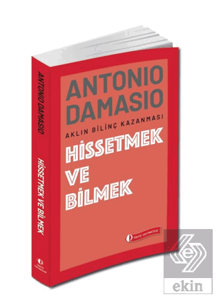 Hissetmek ve Bilmek