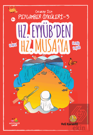 Hz. Eyyüb\'den Hz. Musa\'ya