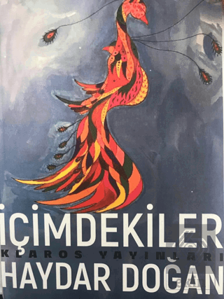 İçimdekiler