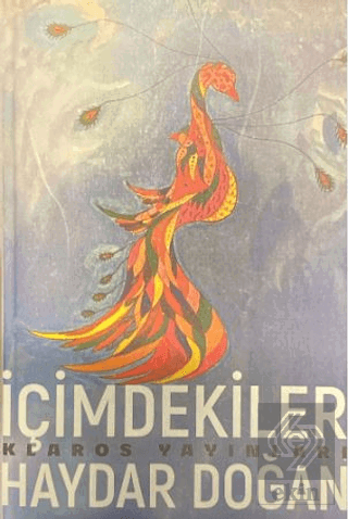 İçimdekiler