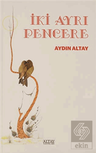 İki Ayrı Pencere