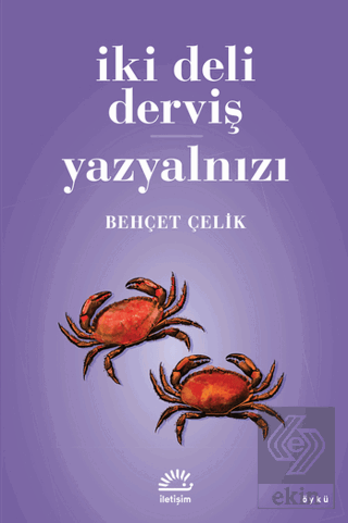 İki Deli Derviş - Yazyalnızı