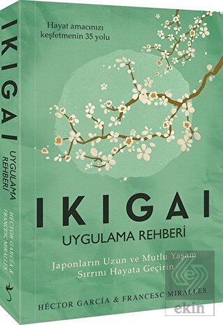 Ikigai - Uygulama Rehberi