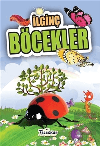 İlginç Böcekler