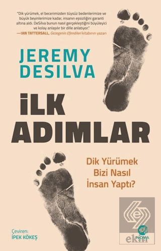 İlk Adımlar: Dik Yürümek Bizi Nasıl İnsan Yaptı?