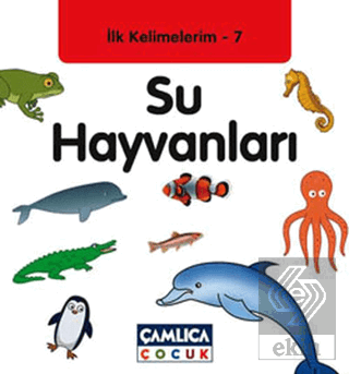 İlk Kelimelerim 7: Su Hayvanları