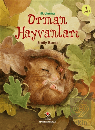 İlk Okuma - Orman Hayvanları