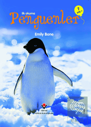 İlk Okuma - Penguenler