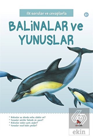 İlk Sorular ve Cevaplarla: Balinalar ve Yunuslar