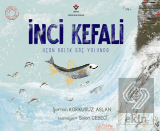 İnci Kefali