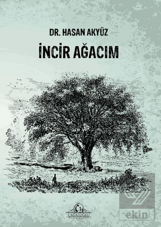 İncir Ağacım