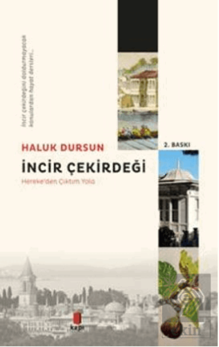 İncir Çekirdeği