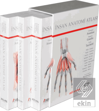 İnsan Anatomisi Atlası (3 Cilt Takım)