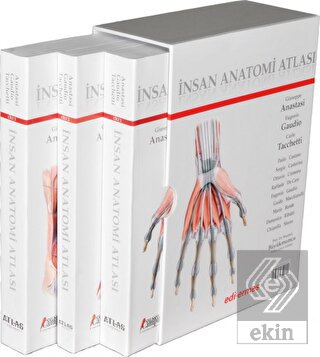 İnsan Anatomisi Atlası (3 Cilt Takım)