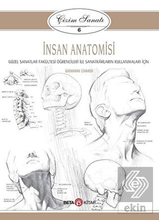 İnsan Anatomisi - Çizim Sanatı 6