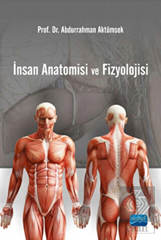 İnsan Anatomisi ve Fizyolojisi