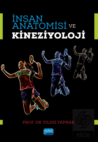 İnsan Anatomisi ve Kineziyoloji