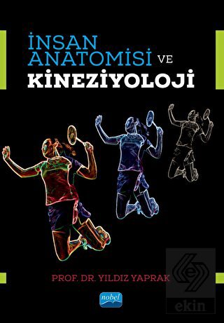 İnsan Anatomisi ve Kineziyoloji