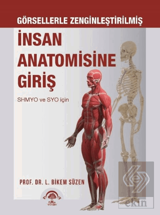 Görsellerle Zenginleştirilmiş İnsan Anatomisine Gi