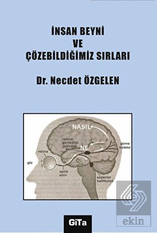 İnsan Beyni ve Çözebildiğimiz Sırları