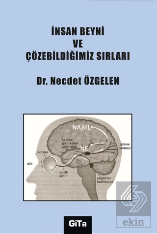 İnsan Beyni ve Çözebildiğimiz Sırları