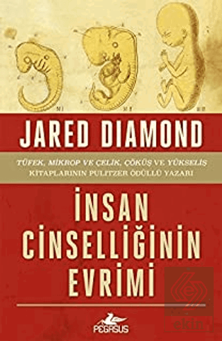 İnsan Cinselliğinin Evrimi