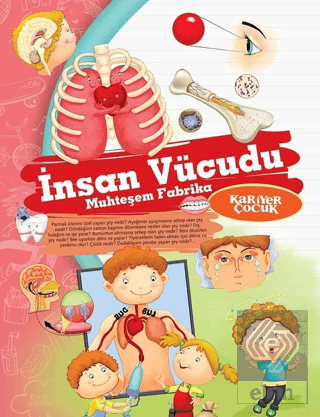 İnsan Vücudu - Muhteşem Fabrika