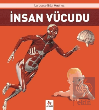 İnsan Vücudu